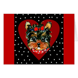 Yorkie Poo lindo