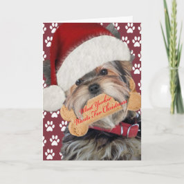 Yorkie quiere los besos para el navidad