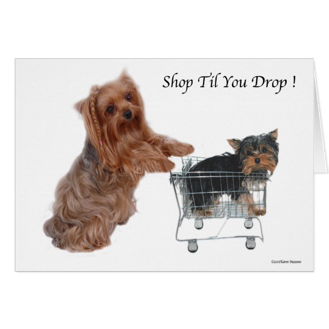 Yorkie Shop Til You Drop (Anverso (Horizontal))