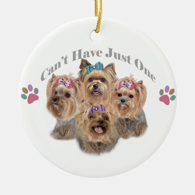 Yorkie usted no puede tener apenas un ornamento (Frente)