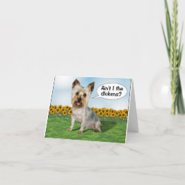 Yorkie y Sunflowers