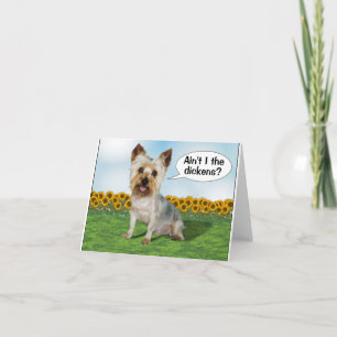Yorkie y Sunflowers