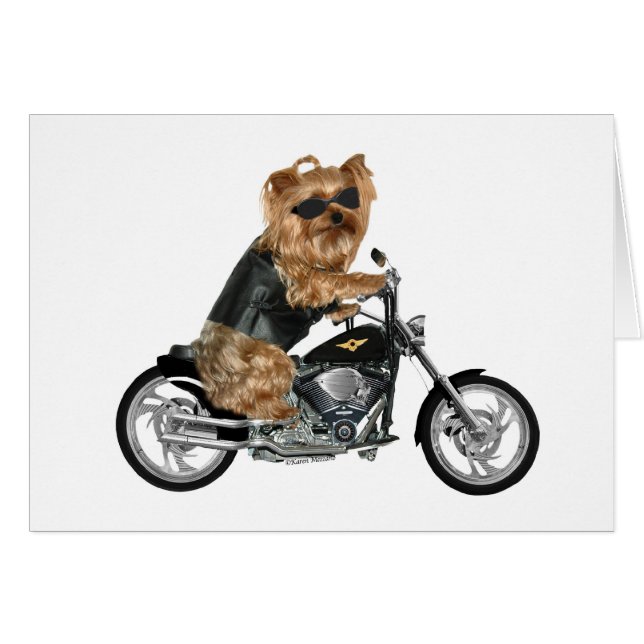 Yorkie Yorkshire Terrier Biker (Anverso (Horizontal))
