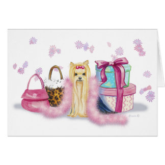 Yorkie Yorkshire Terrier con tarjetas Feather Boa
