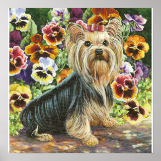 Yorkie Yorkshire Terrier en la impresión de pansie