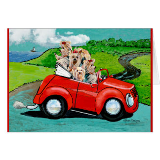 Yorkies con tarjeta convertible roja