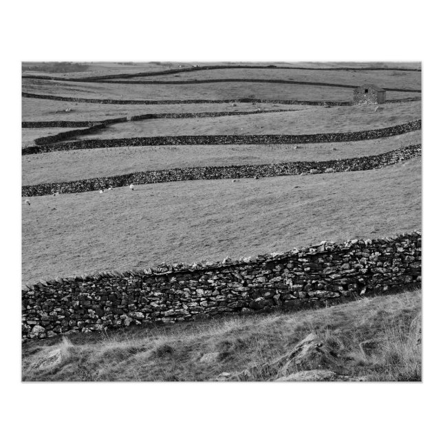 Yorkshire Dales Poster (Anverso)