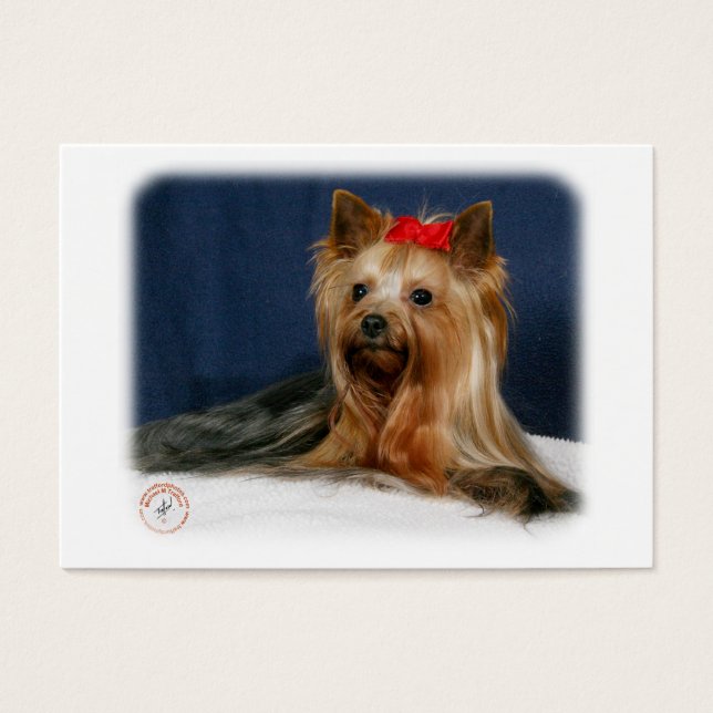 Yorkshire Terrier 9Y110D-064 (Frente)