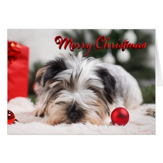 Yorkshire Terrier Cute Merry Christmas (Anverso (Horizontal))
