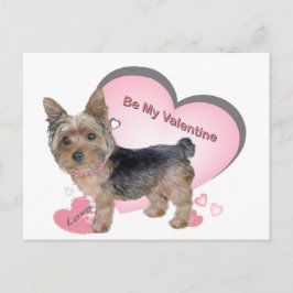 Yorkshire Terrier En Tarjetas Rosa