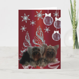 Yorkshire Terrier Navidad