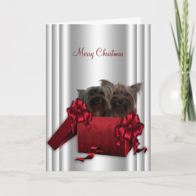 Yorkshire Terrier Navidad (Anverso)