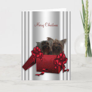 Yorkshire Terrier Navidad