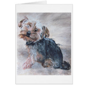 Yorkshire Terrier, pintura, tarjeta