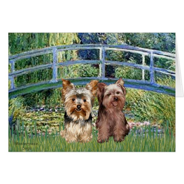 Yorkshire Terriers (17-18) - Puente (Anverso (Horizontal))