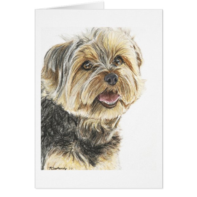 YorkshireTerrier.jpg (Frente)