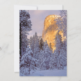 Yosemite - EL Capitan encendido por la luz del sol