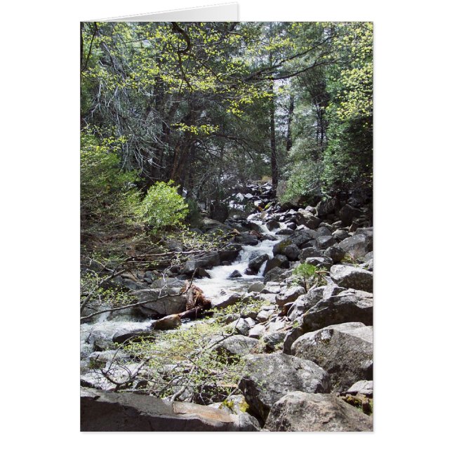 Yosemite en Springtime: Bridalveil cae en sendero (Frente)