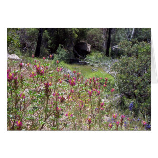 Yosemite en Springtime: Harlequin Lupine