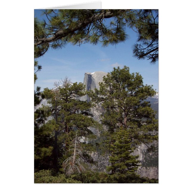 Yosemite en Springtime: Media Cúpula (Frente)