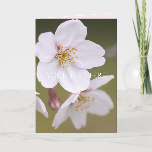 Yoshino Cherry: Tarjetas dobladas (Anverso)