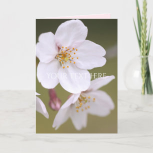 Yoshino Cherry: Tarjetas dobladas