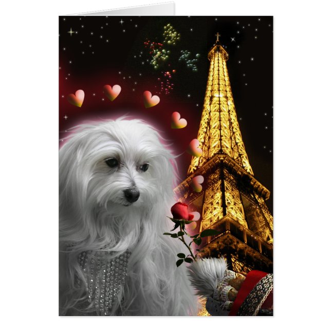 You Think You Know Love! Maltese Eifel Tower (Frente)