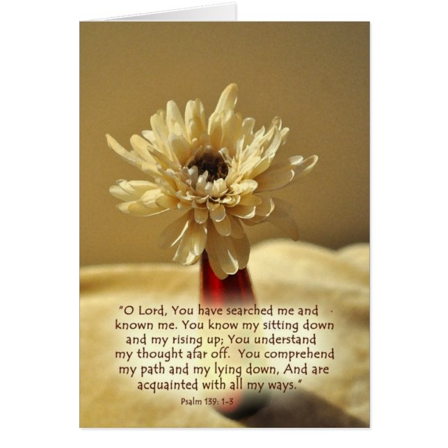 YouhavesearchedmeZazzle (Frente)