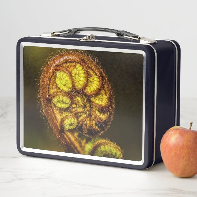 Young Fern Leaves (In situ)