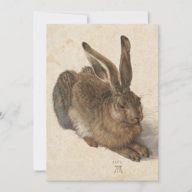 Young Hare | Albrecht Dürer (Anverso)