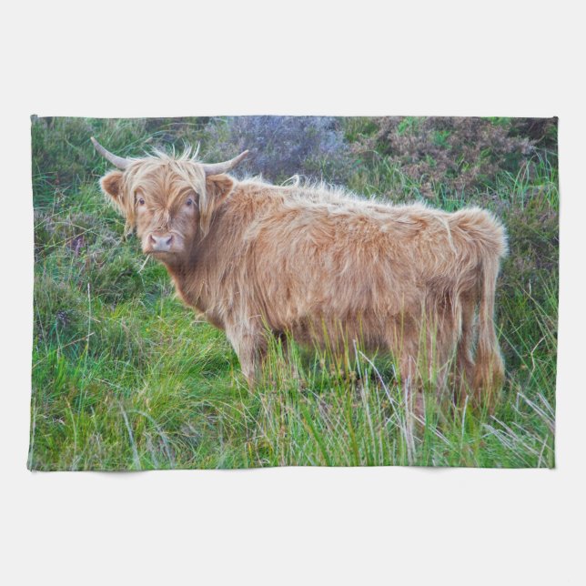 Young Highland Cow Kitchen Toalla (Horizontal)