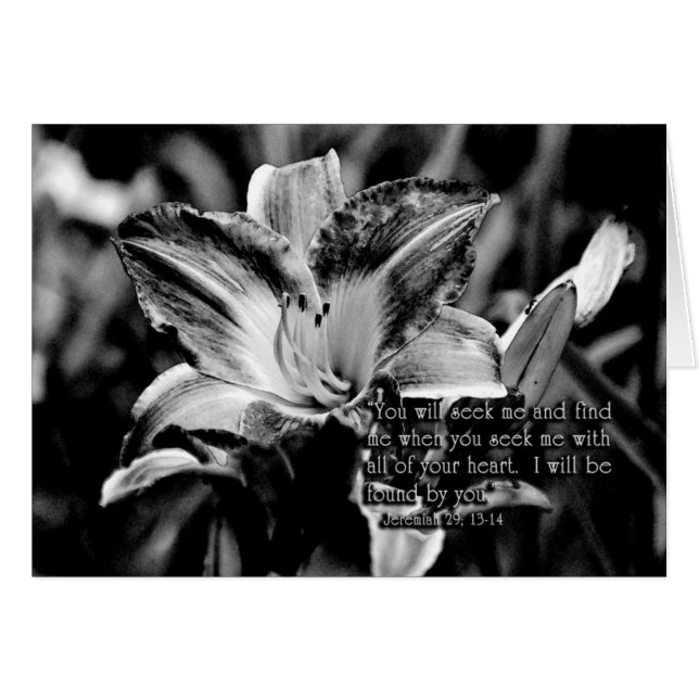 YouwillseekmeandfindmeZazzle (Anverso (Horizontal))