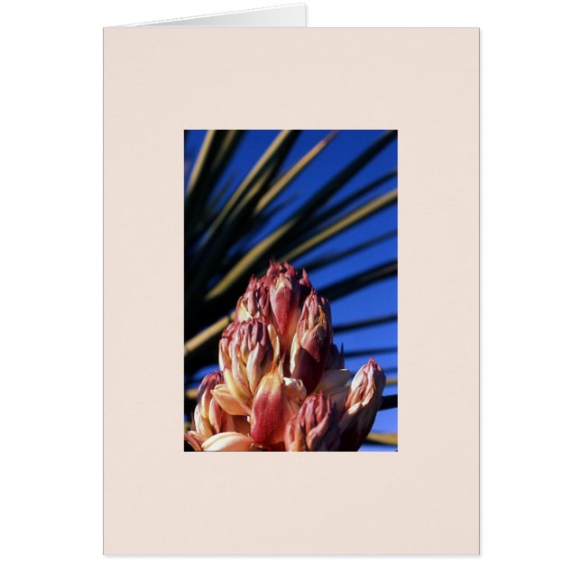 "Yucca #1" (Frente)