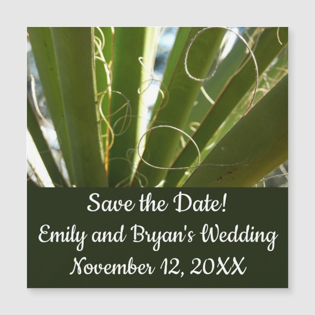 Yucca deja fotografía verde de la naturaleza (Anverso)