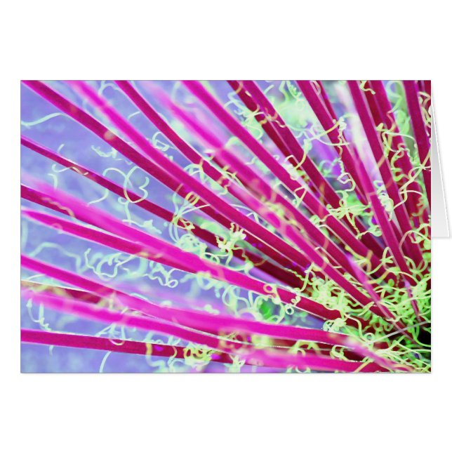 Yucca psicodélica Resumen rojo (Anverso (Horizontal))