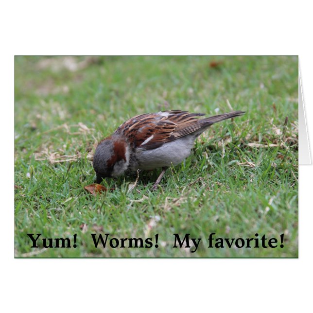 ¡Yum!  ¡Gusanos! (Anverso (Horizontal))