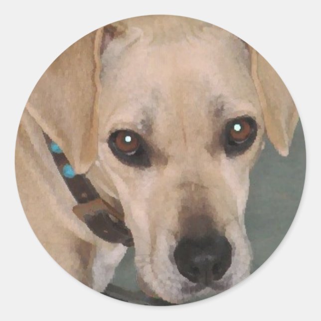 YY- pegatinas de cachorros (Anverso)