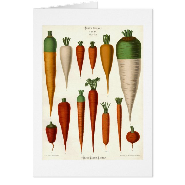 Zanahorias (Frente)
