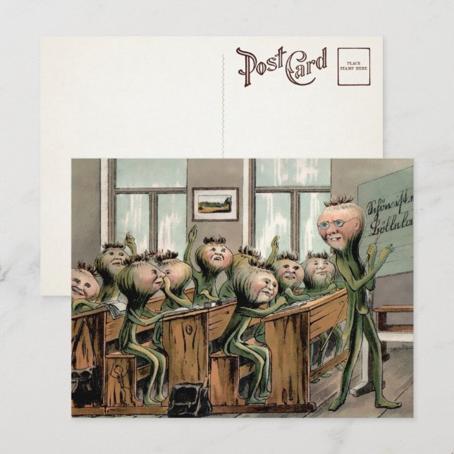 Zanahorias antiguas en la postal escolar (Anverso / Reverso)