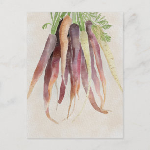 Zanahorias, tarjeta postal de 5x7