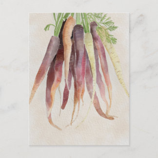 Zanahorias, tarjeta postal de 5x7