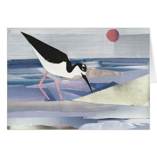 zanco Negro-necked (Anverso (Horizontal))