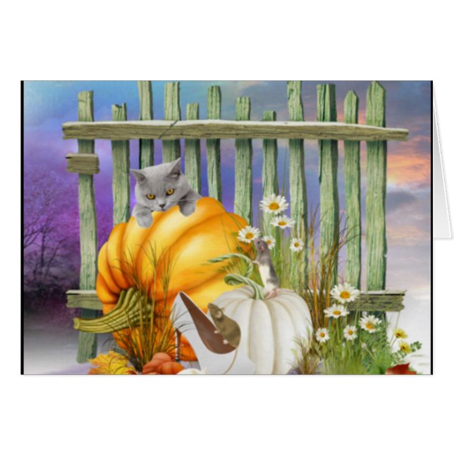 Zapato blanco perdido en el parche de calabaza (Anverso (Horizontal))