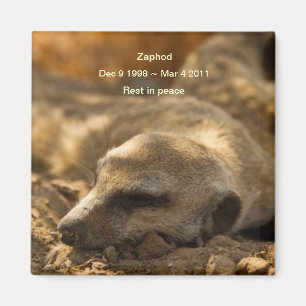 Zaphod_Rest en imán de la paz