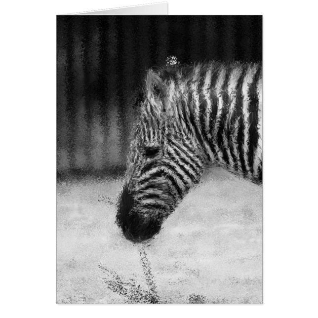 Zebra (Frente)