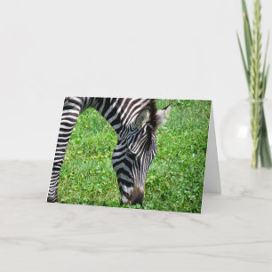 Zebra (2412) - Tarjeta de felicitación