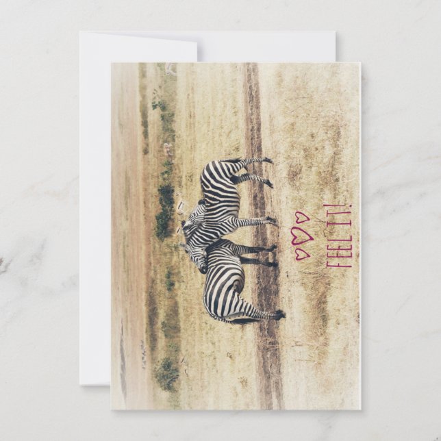 Zebra Affection, tarjeta de vacaciones plana (Anverso)