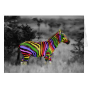 Zebra arcoiris