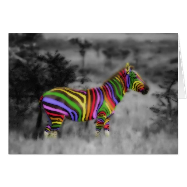 Zebra arcoiris (Anverso (Horizontal))