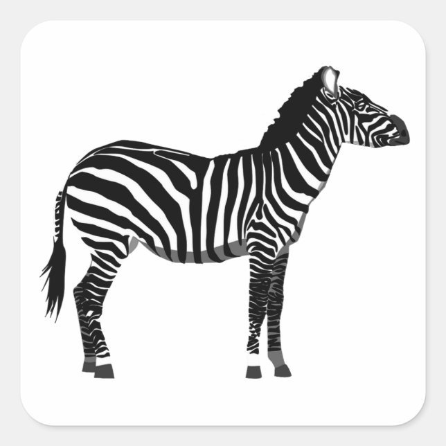 Zebra en negro y blanco Pegatina de rayas cuadrada (Anverso)